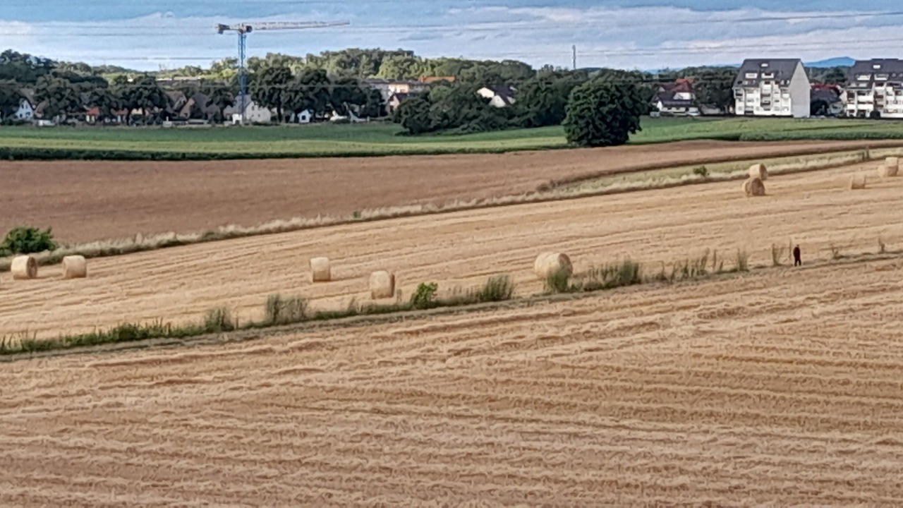 Photo of Others in Bischheim