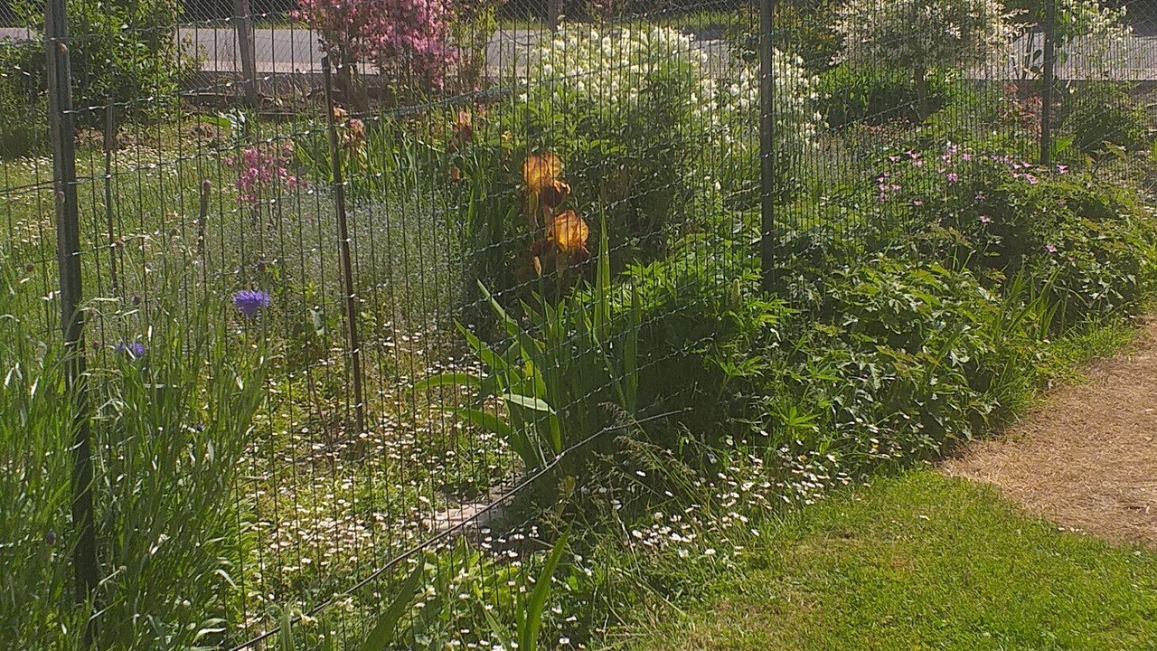 Photo of Outdoor in Saigneville