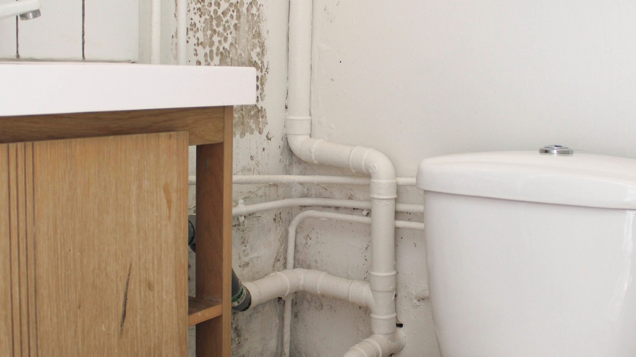 Photo of Bathroom in Pantin