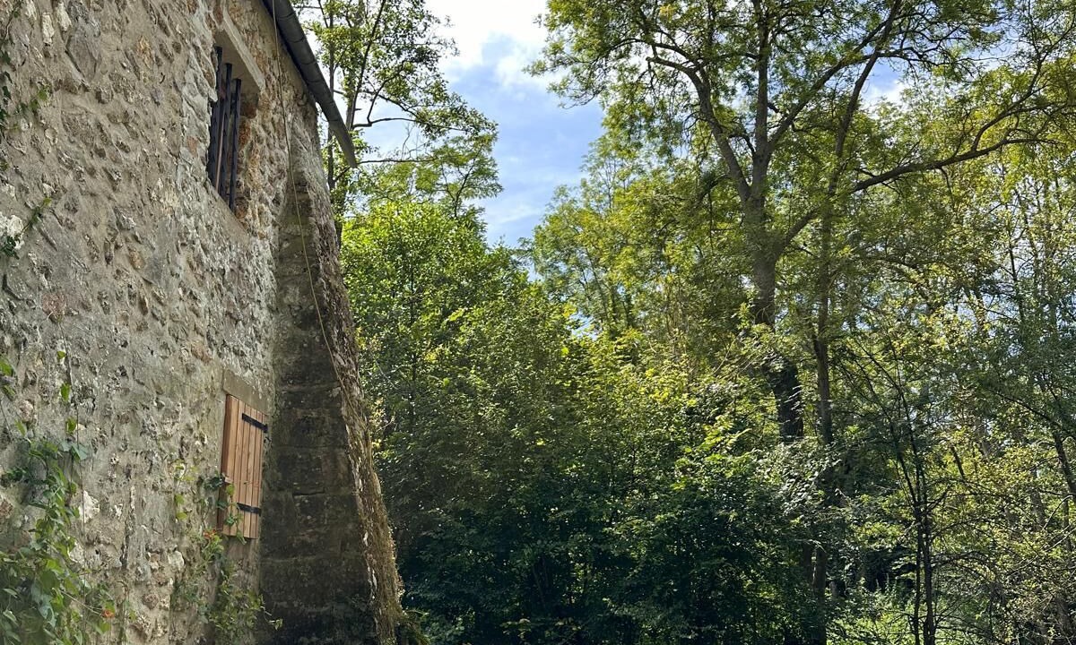 Photo of Outdoor in Boussy-Saint-Antoine