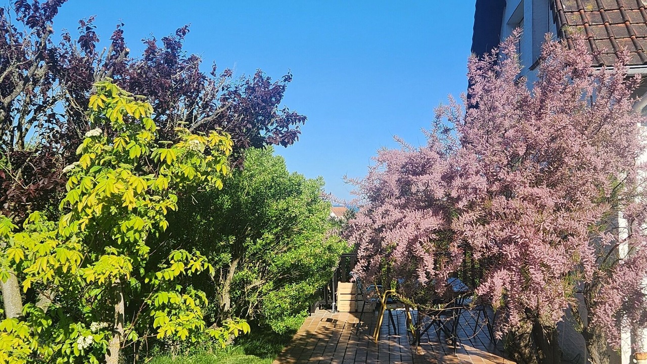 Photo of Outdoor in Wissant