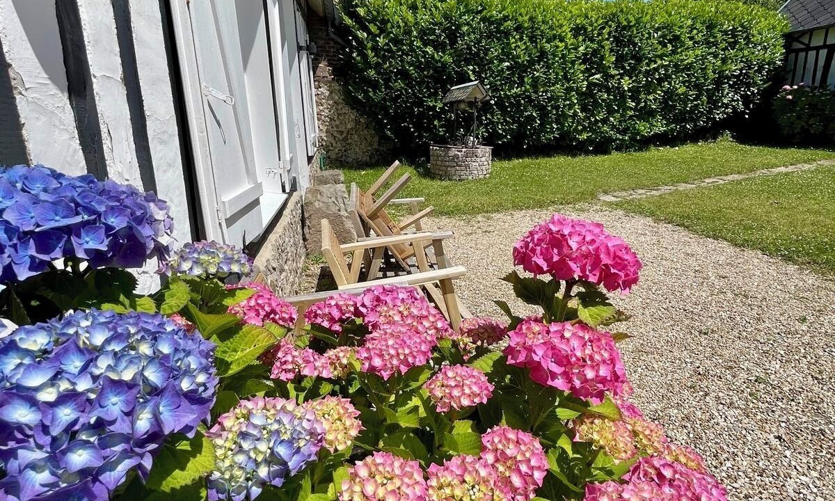 Photo of Outdoor in Saint-Martin-aux-Buneaux