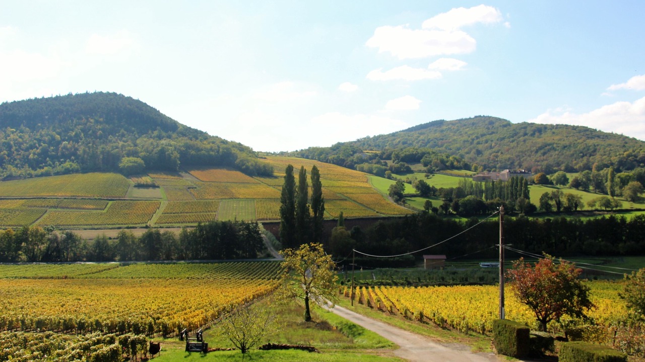 Photo of Others in Maconnais Beaujolais Agglomeration