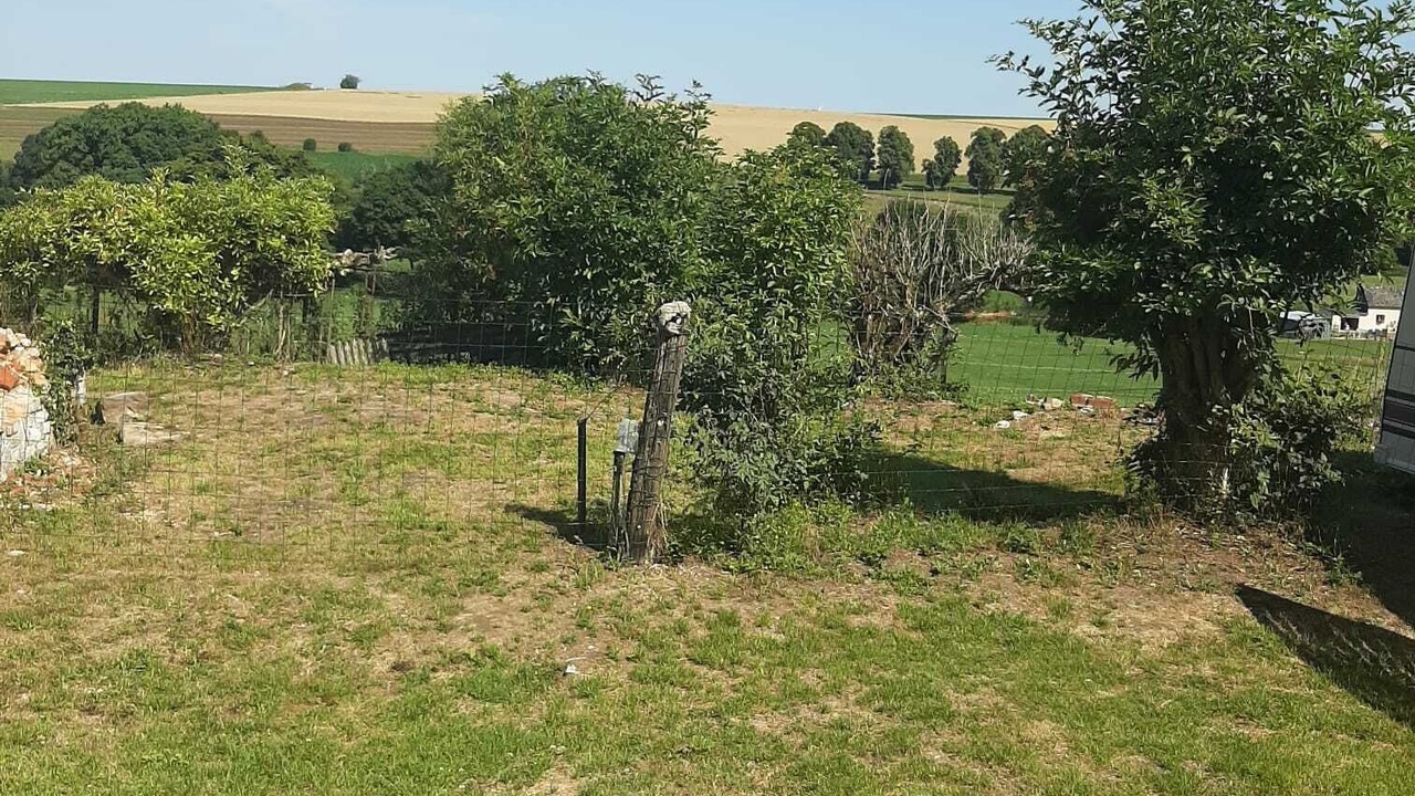 Photo of Outdoor in Saint-Gobert