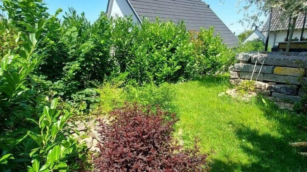 Photo of Outdoor in Gresswiller