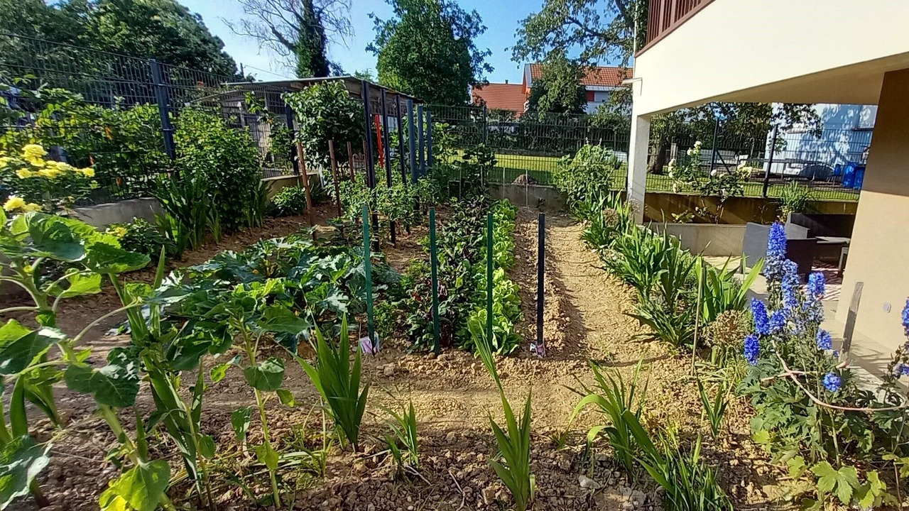 Photo of Outdoor in Wingersheim