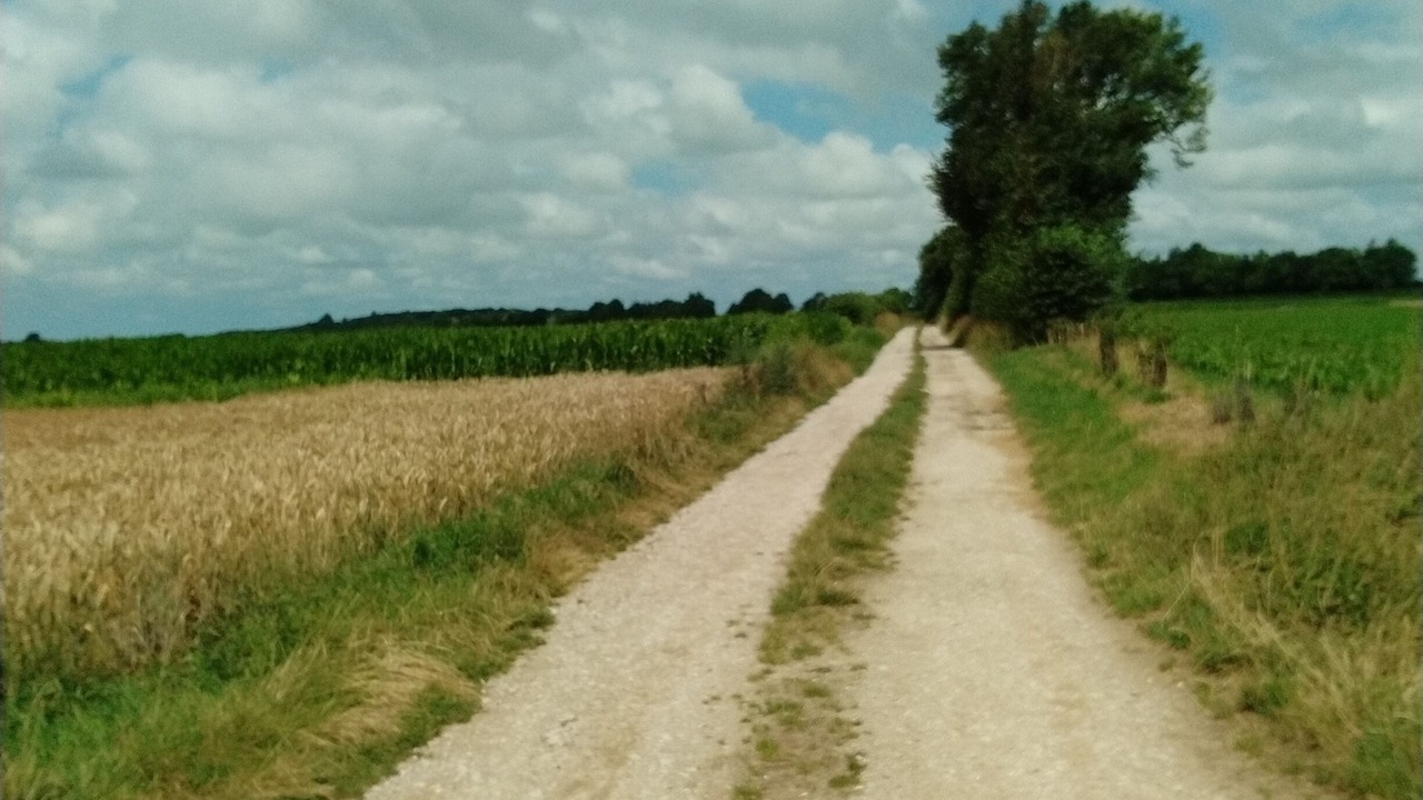 Photo of Others in Saint-Valery-sur-Somme