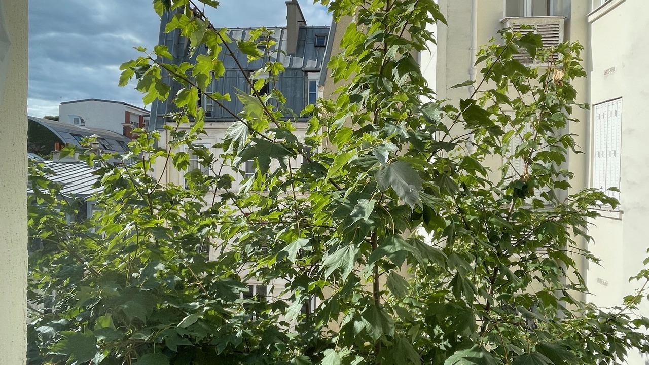 Photo of Others in Notre-Dame-des-Champs