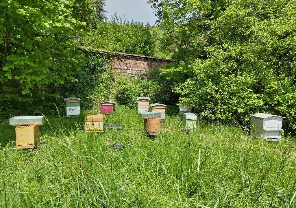 Photo of Outdoor in La Roquette