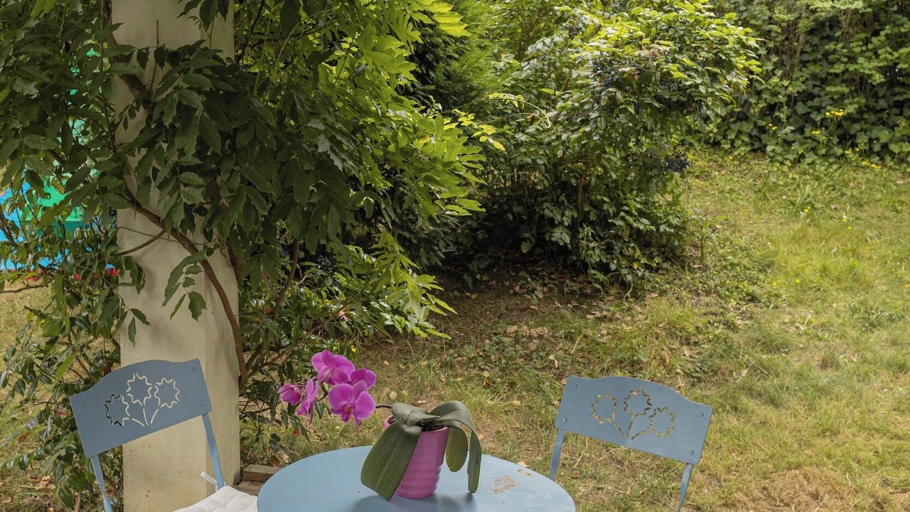 Photo of Outdoor in Bougival