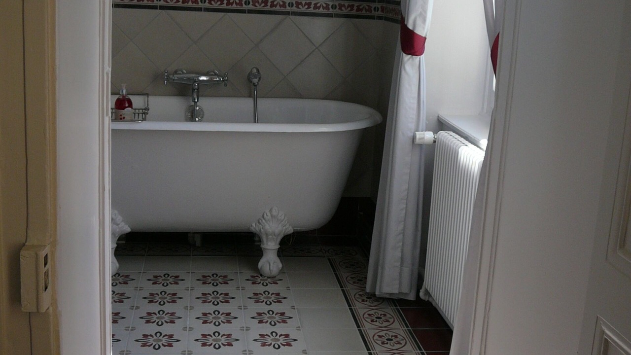 Photo of Bathroom in Senlis