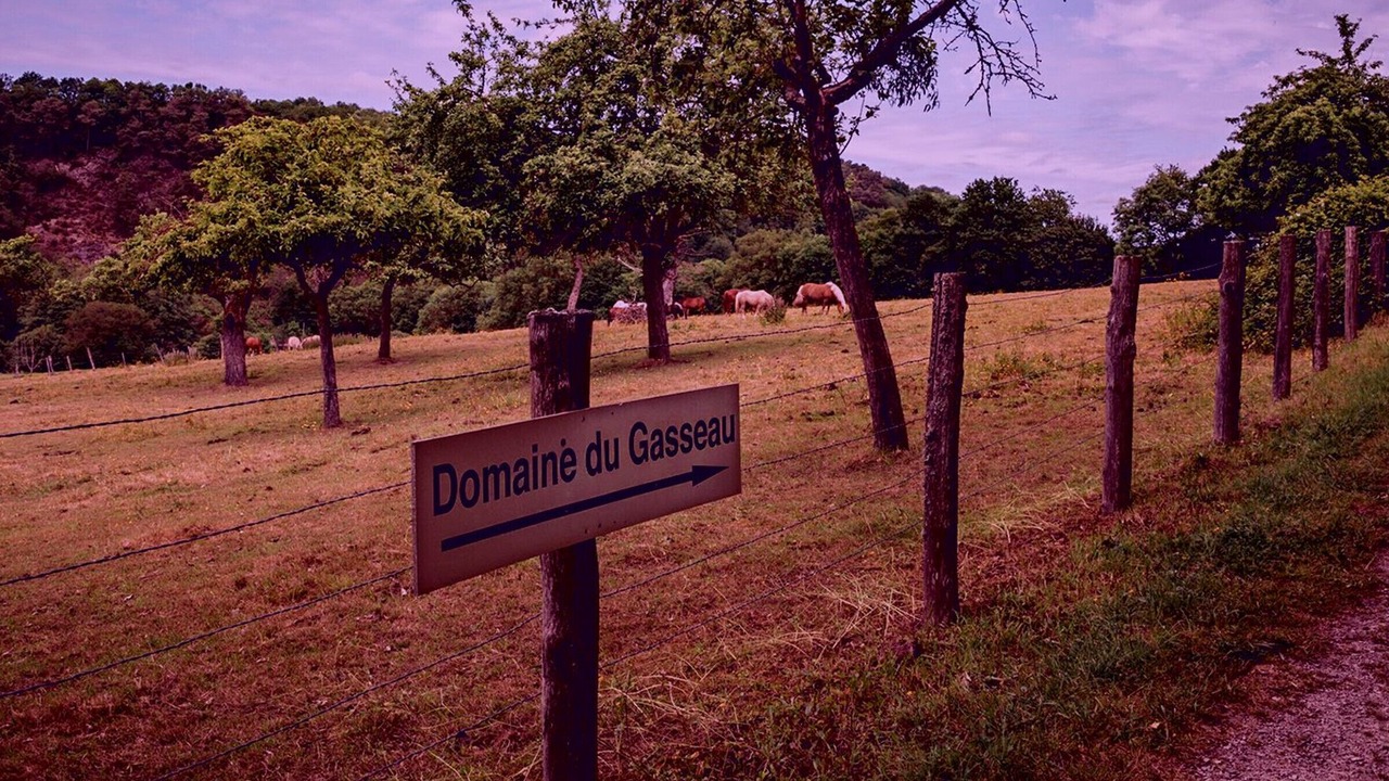 Photo of Others in Saint-Leonard-des-Bois