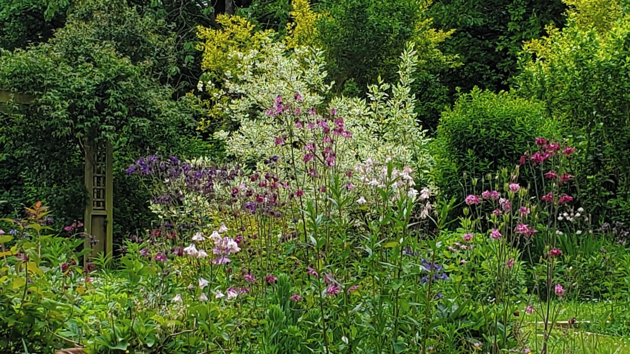 Photo of Outdoor in Saint-Fraimbault