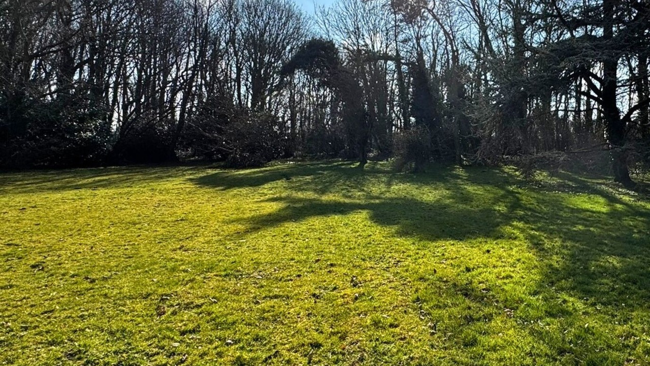 Photo of Others in Wimille