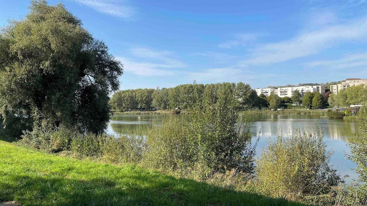 Photo of Others in Torcy-le-Grand