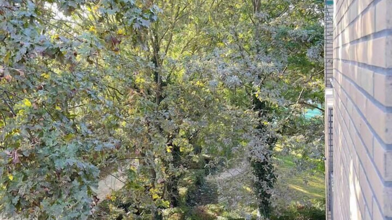 Photo of Others in Torcy-le-Grand