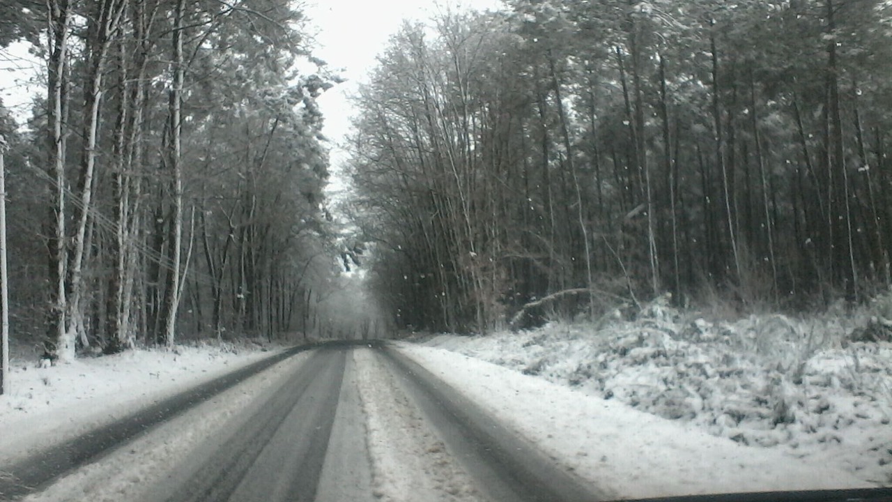 Photo of Others in Aubigne-Racan