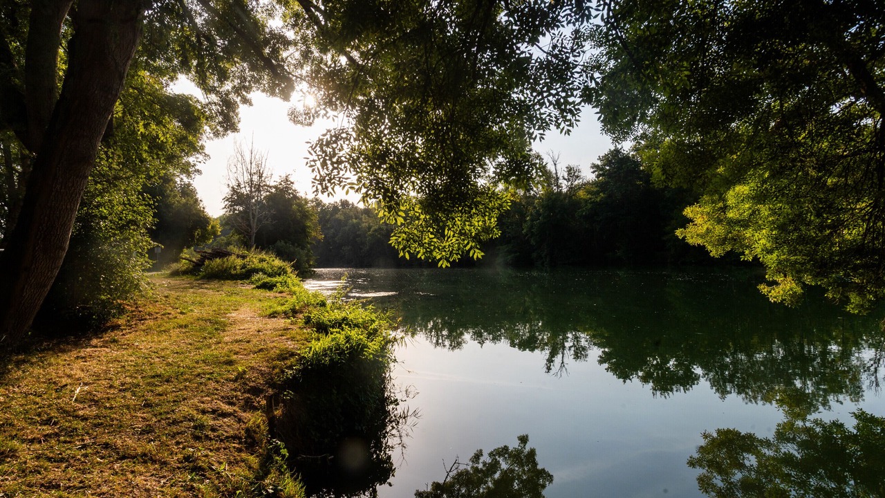 Photo of Others in Jarnac