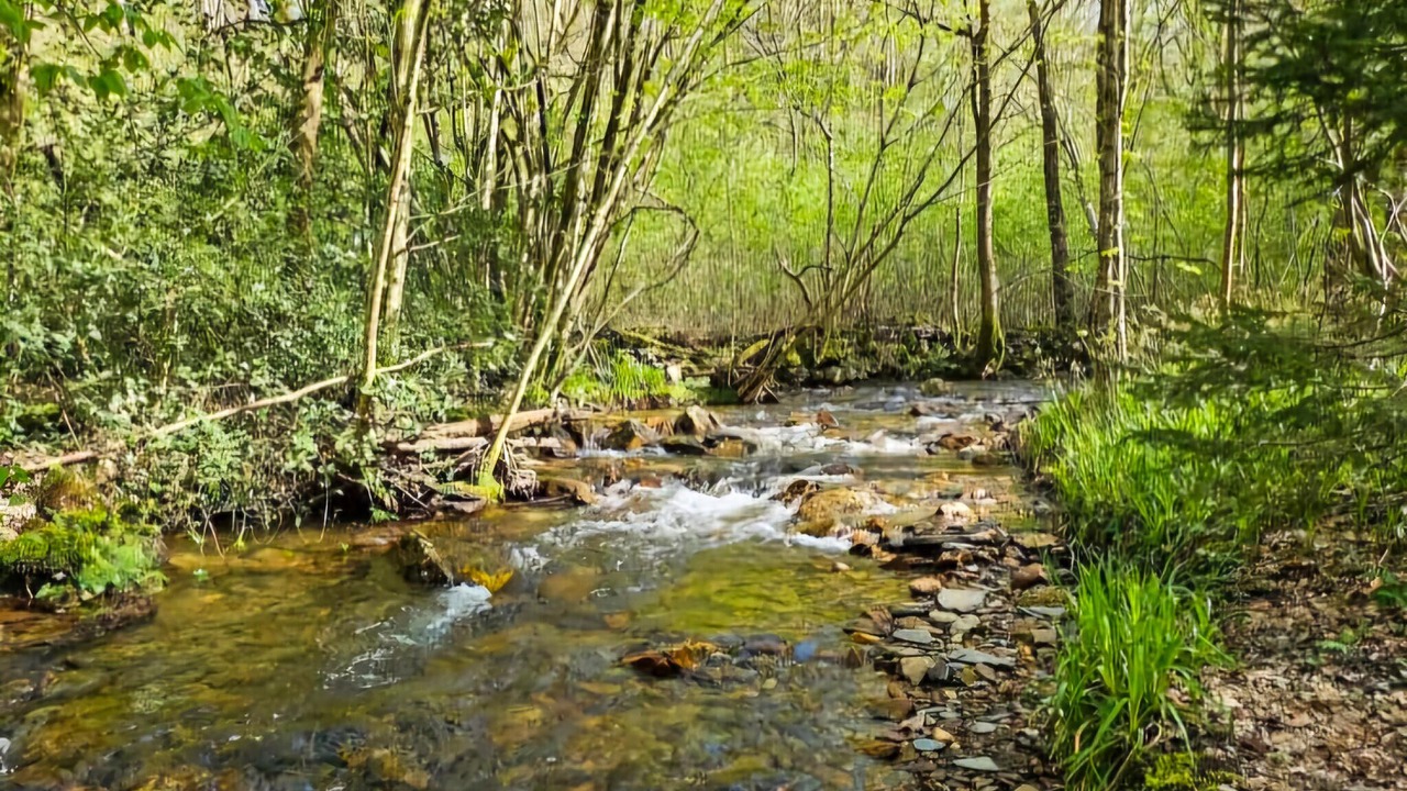 Photo of Others in Chooz
