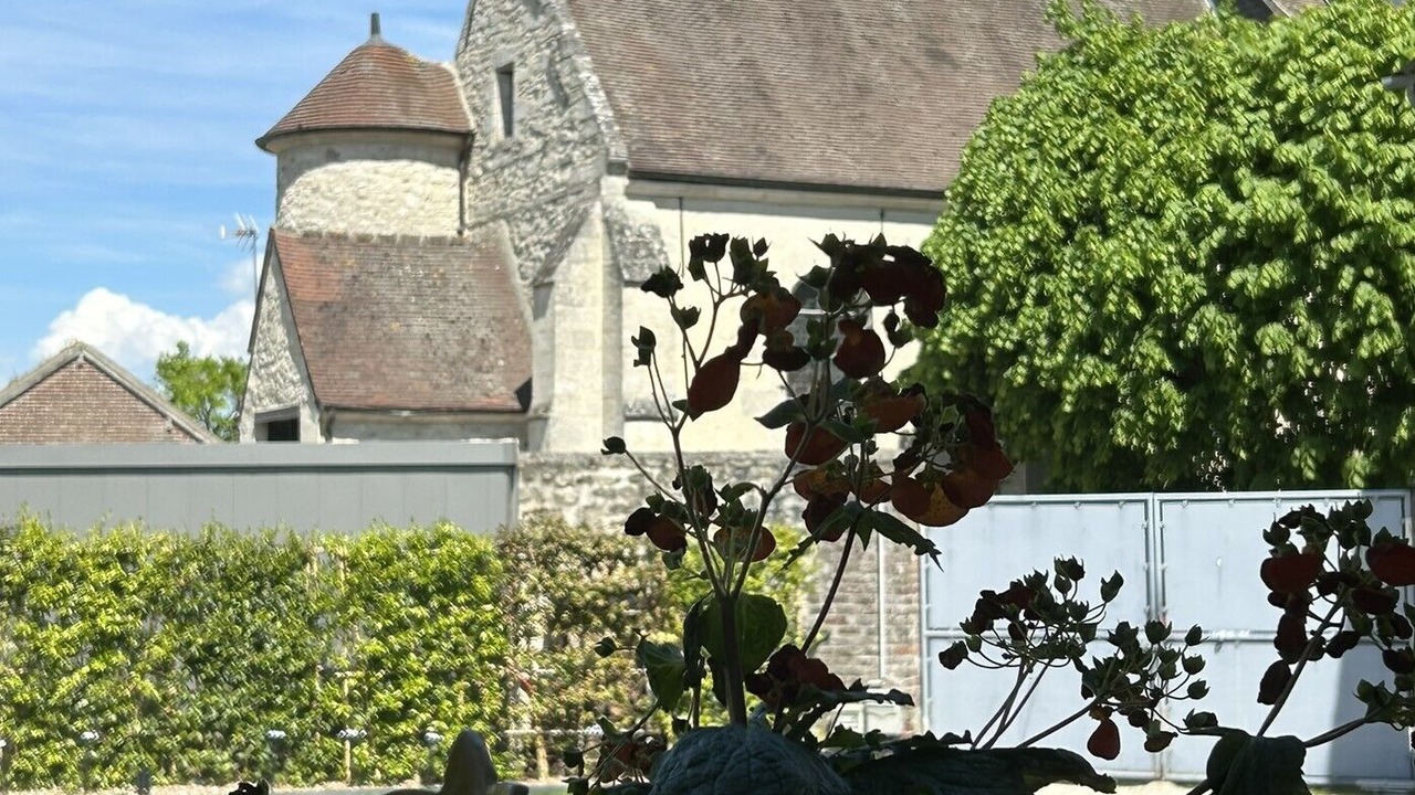 Photo of Outdoor in Barbery