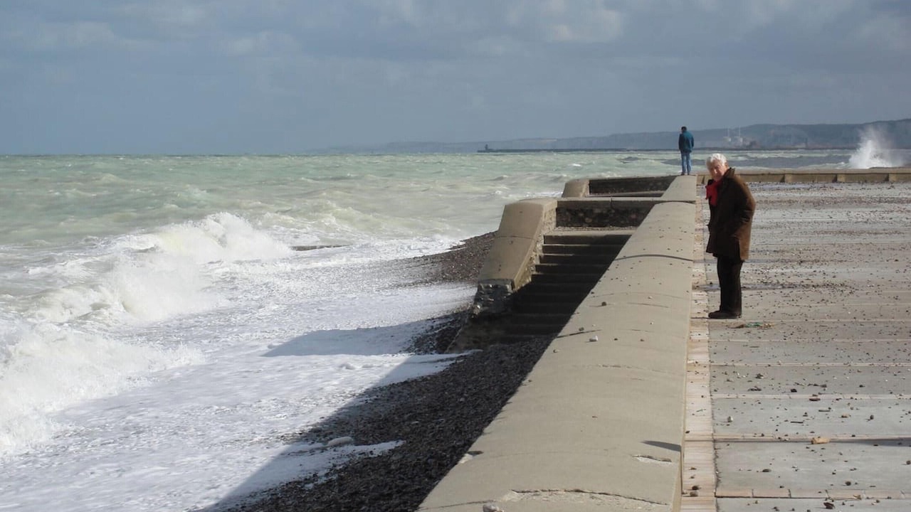 Photo of Others in Pourville-sur-Mer