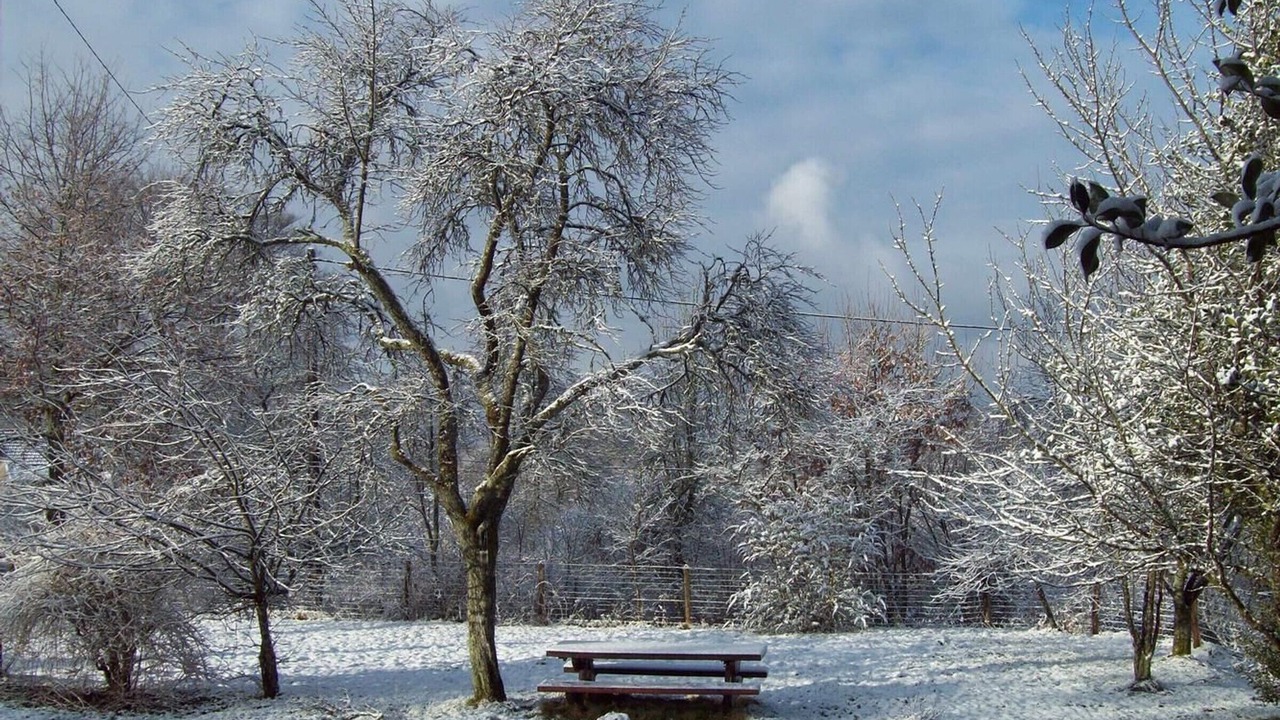 Photo of Others in Fougerolles-Saint-Valbert