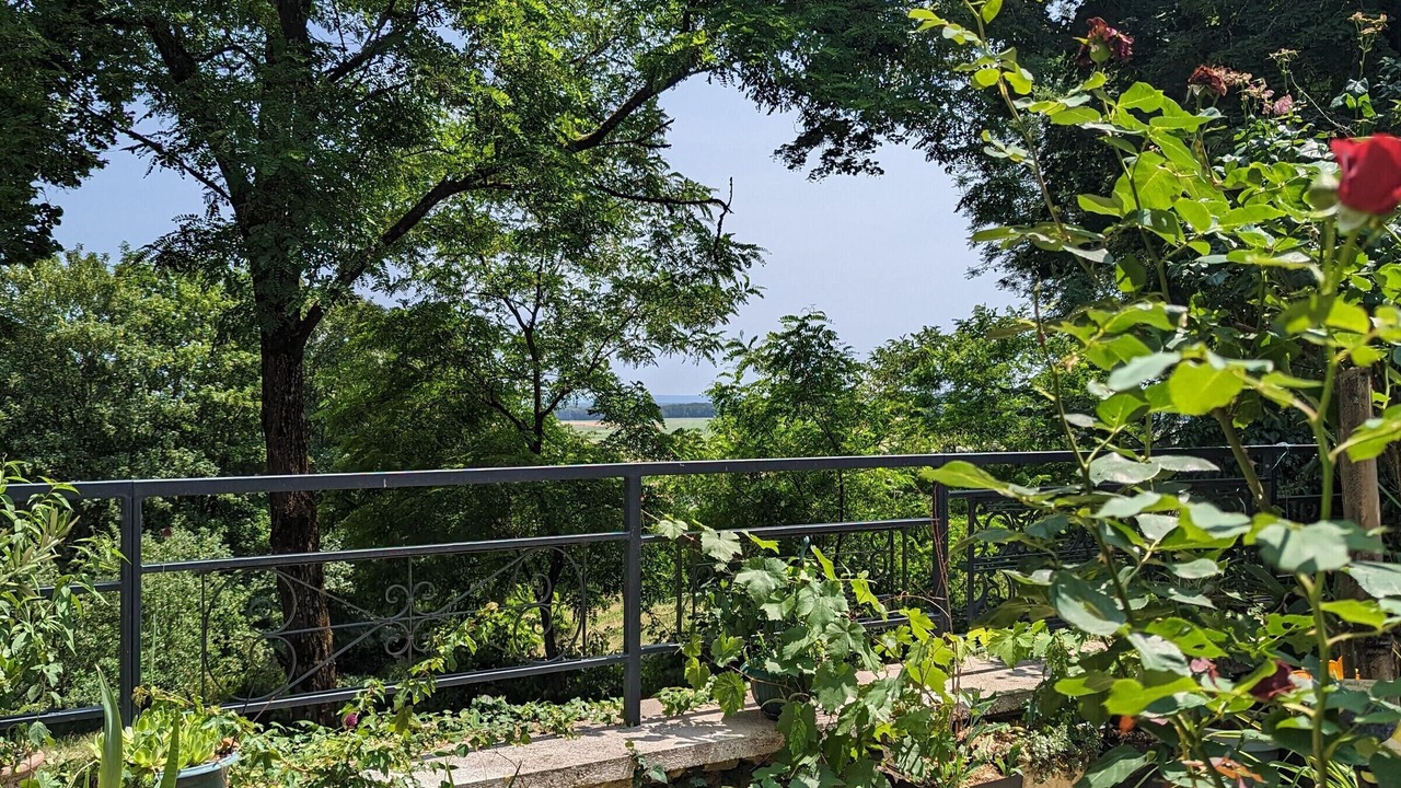 Photo of Outdoor in La Roche-Morey