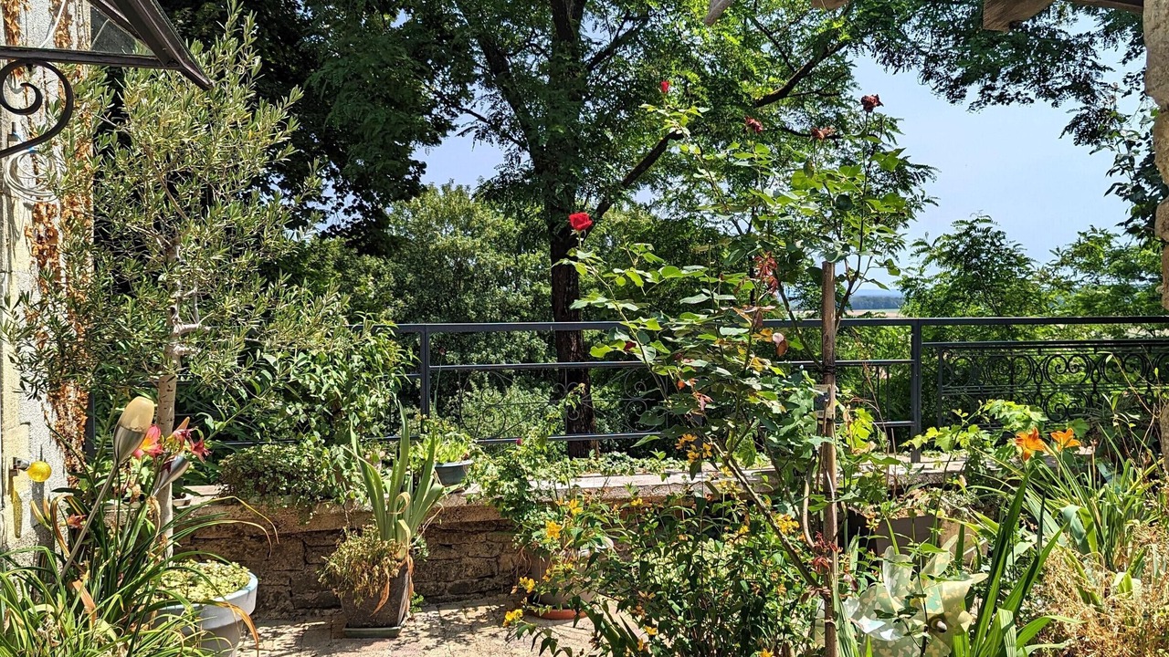 Photo of Outdoor in La Roche-Morey