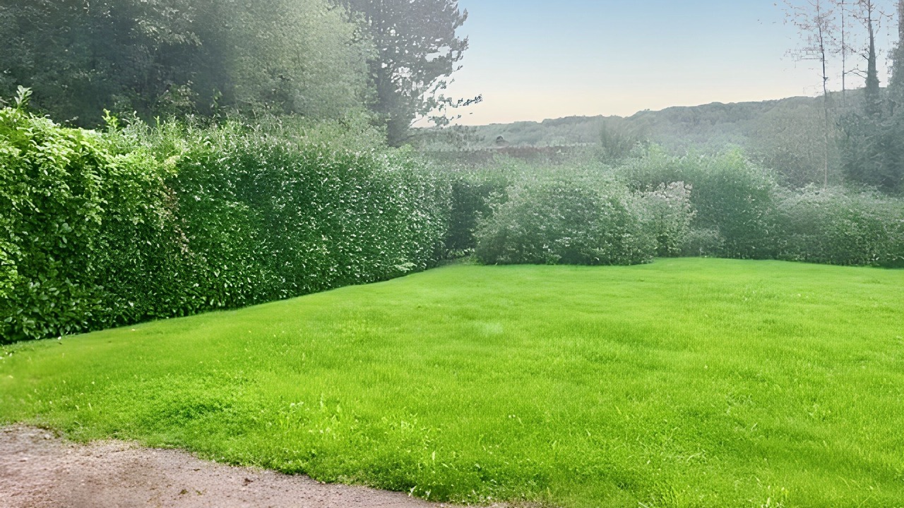 Photo of Outdoor in Hermival-les-Vaux