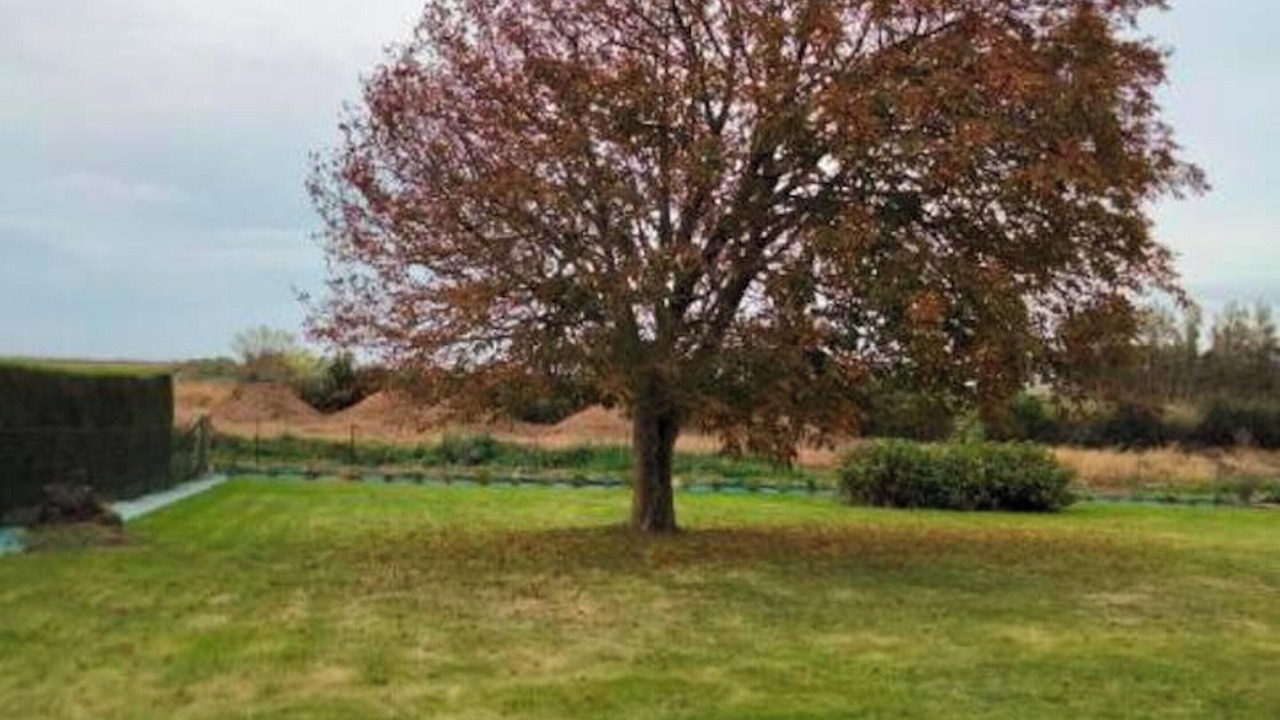Photo of Outdoor in Tocqueville-sur-Eu