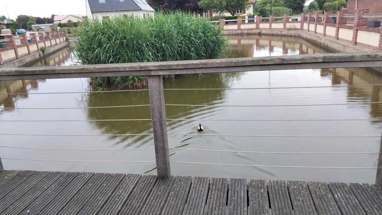 Photo of Others in Tocqueville-sur-Eu