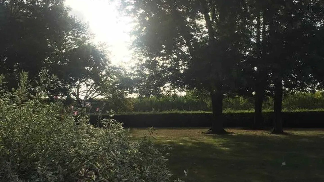 Photo of Outdoor in Le Bosc du Theil