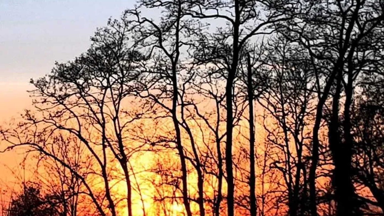 Photo of Outdoor in Berstett
