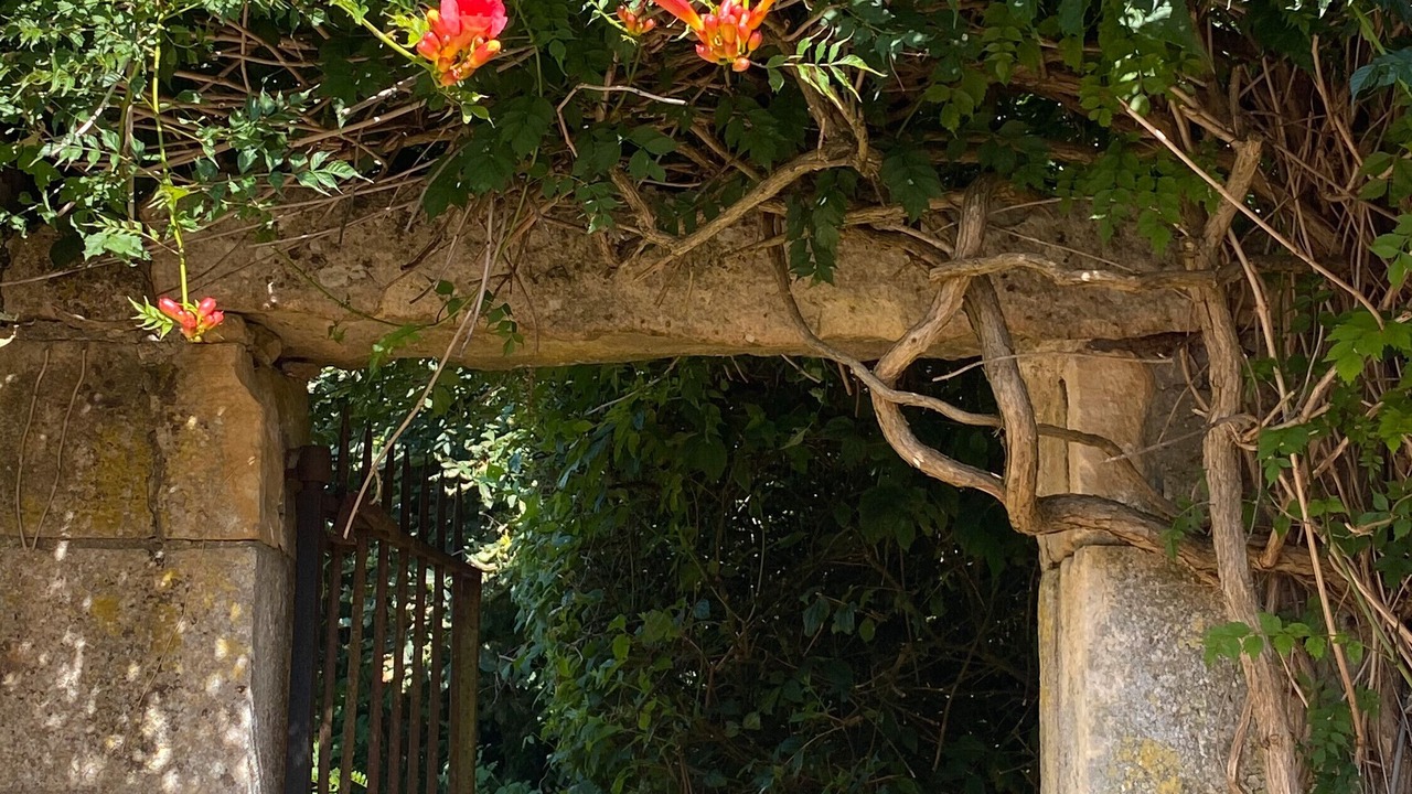 Photo of Outdoor in Parce-sur-Sarthe