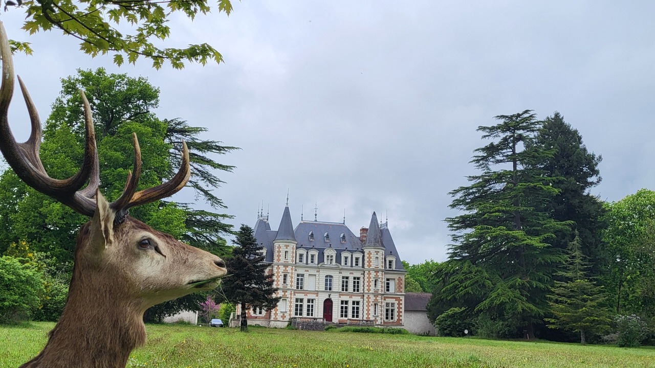 Photo of Outdoor in Fresnes