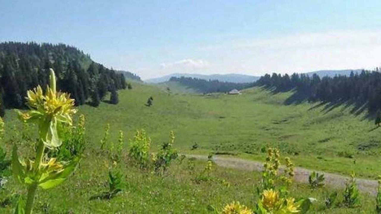 Photo of Others in Levier