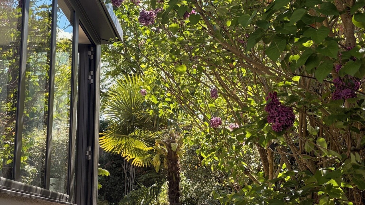 Photo of Outdoor in Louveciennes