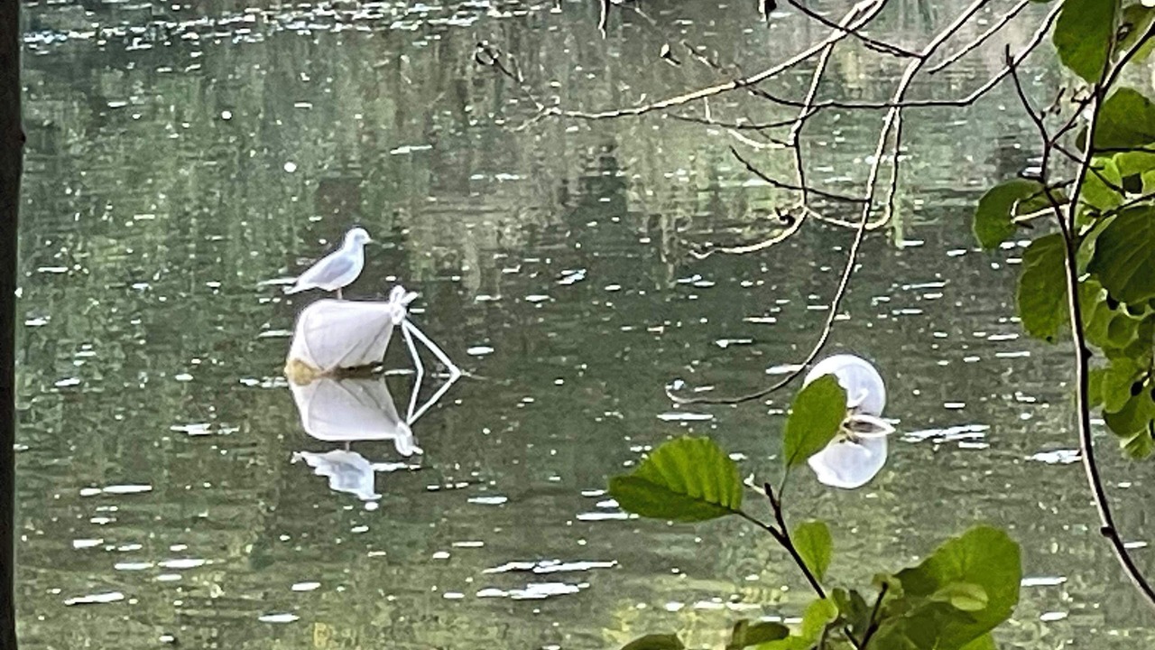 Photo of Others in La Courneuve