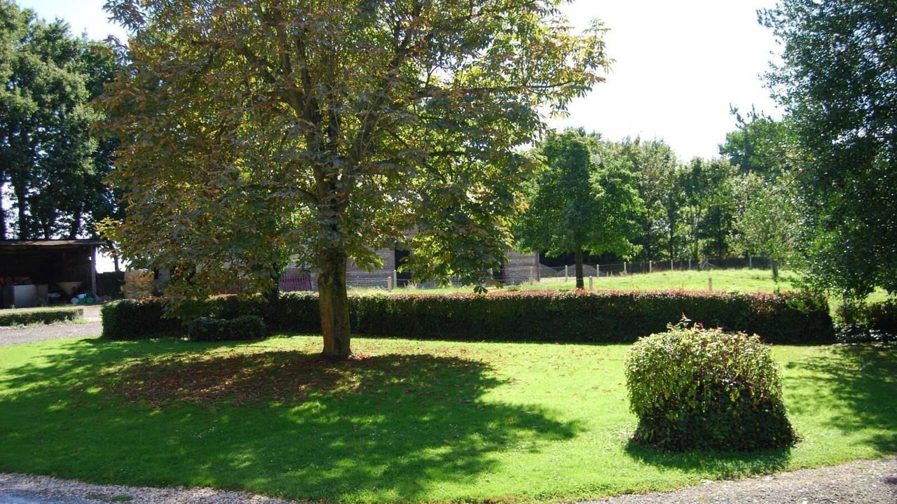 Photo of Outdoor in Louvetot