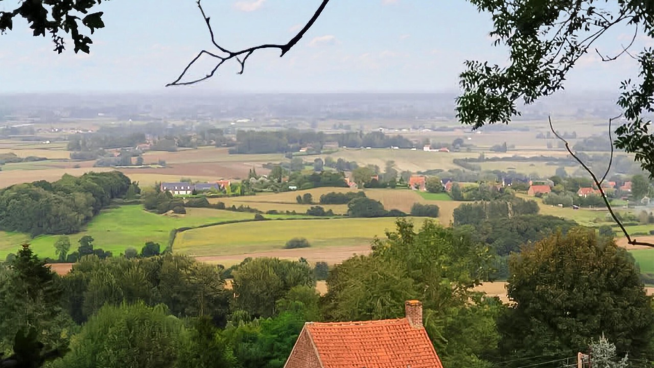 Photo of Others in Oxelaere
