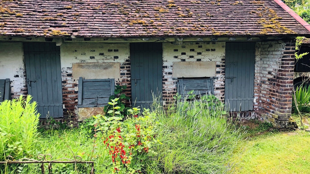 Photo of Outdoor in Albã