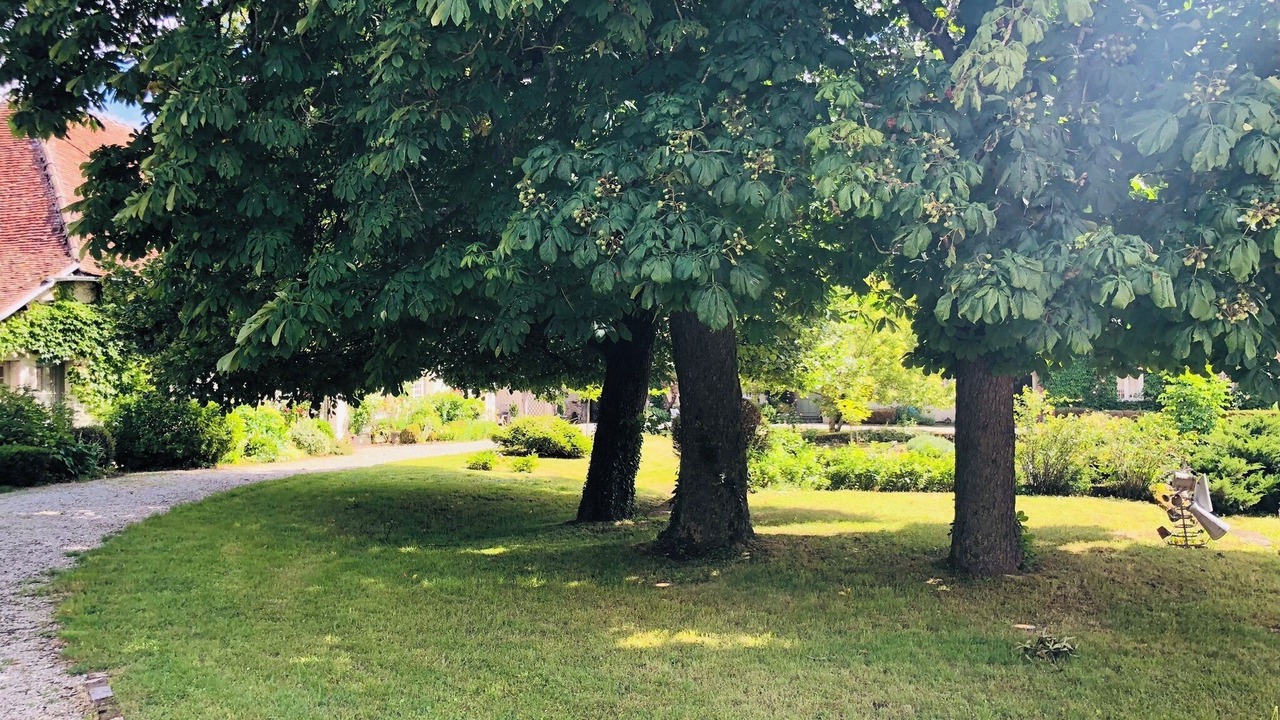 Photo of Outdoor in Albã