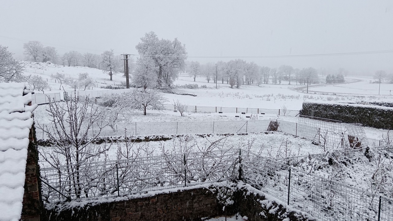 Photo of Outdoor in Javaugues