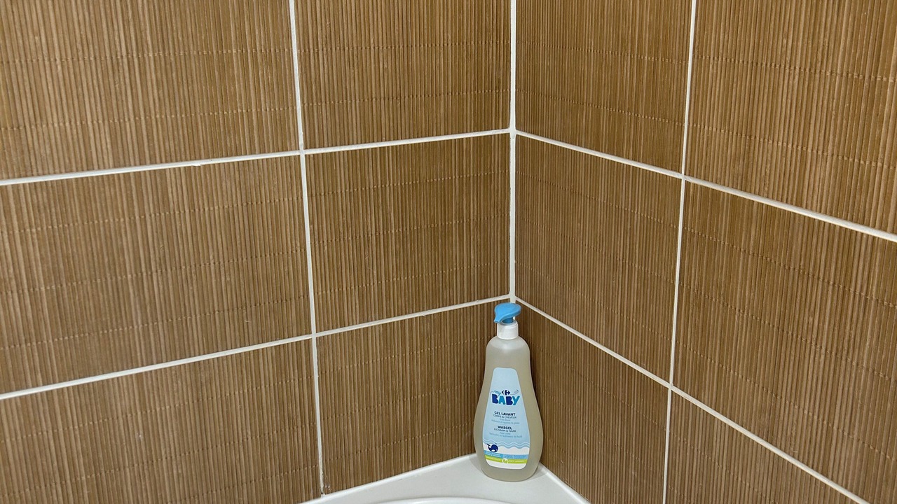 Photo of Bathroom in Fresnes