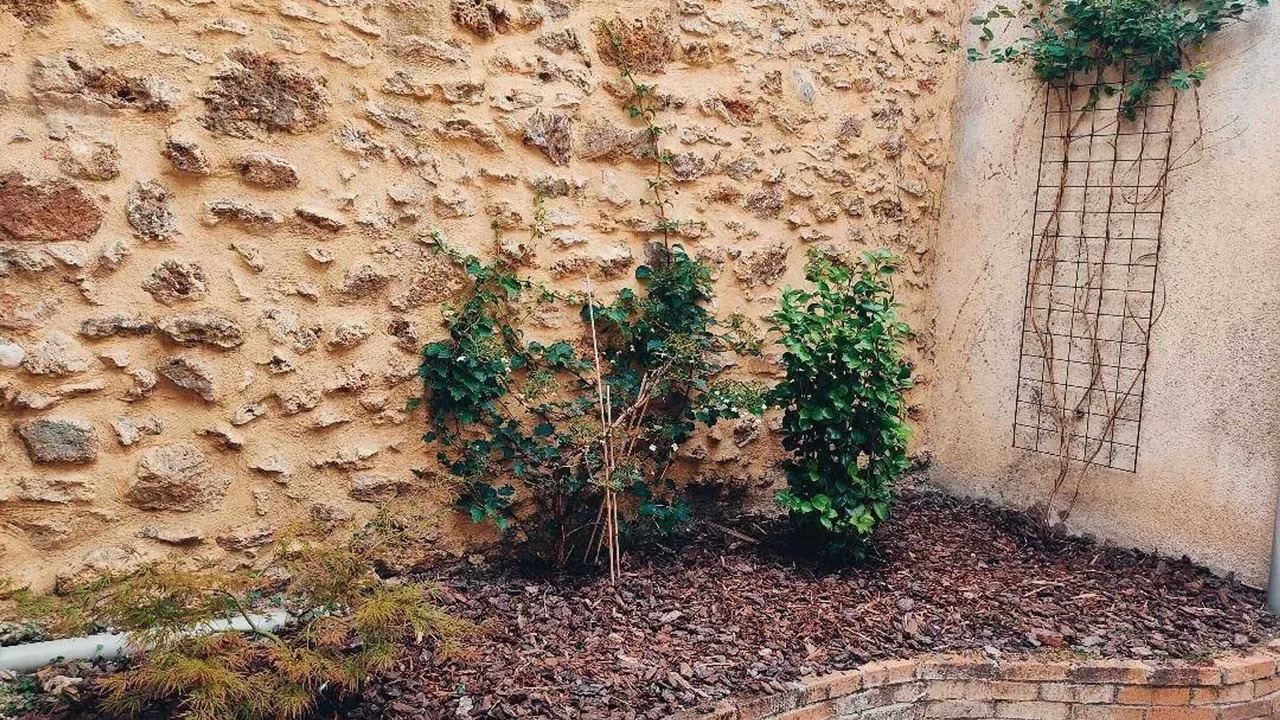Photo of Outdoor in Quartier Centre Ville