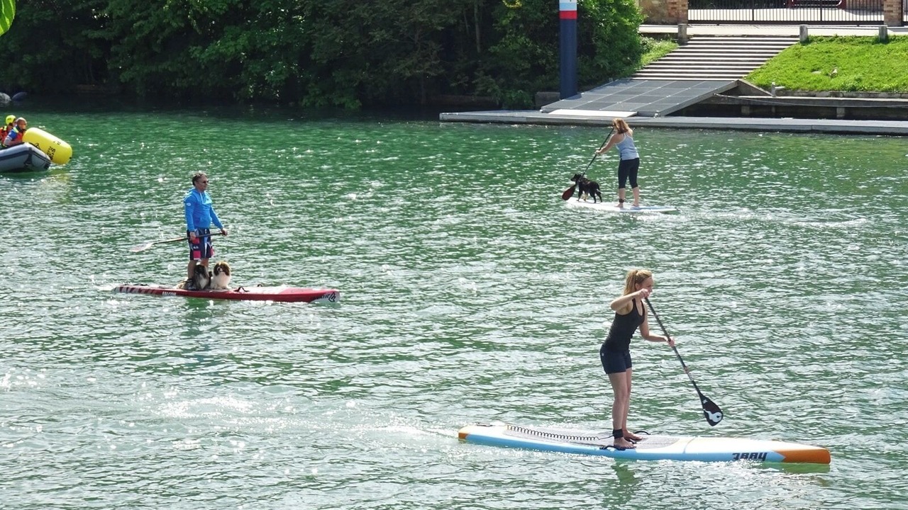 Photo of Others in Chennevieres-sur-Marne