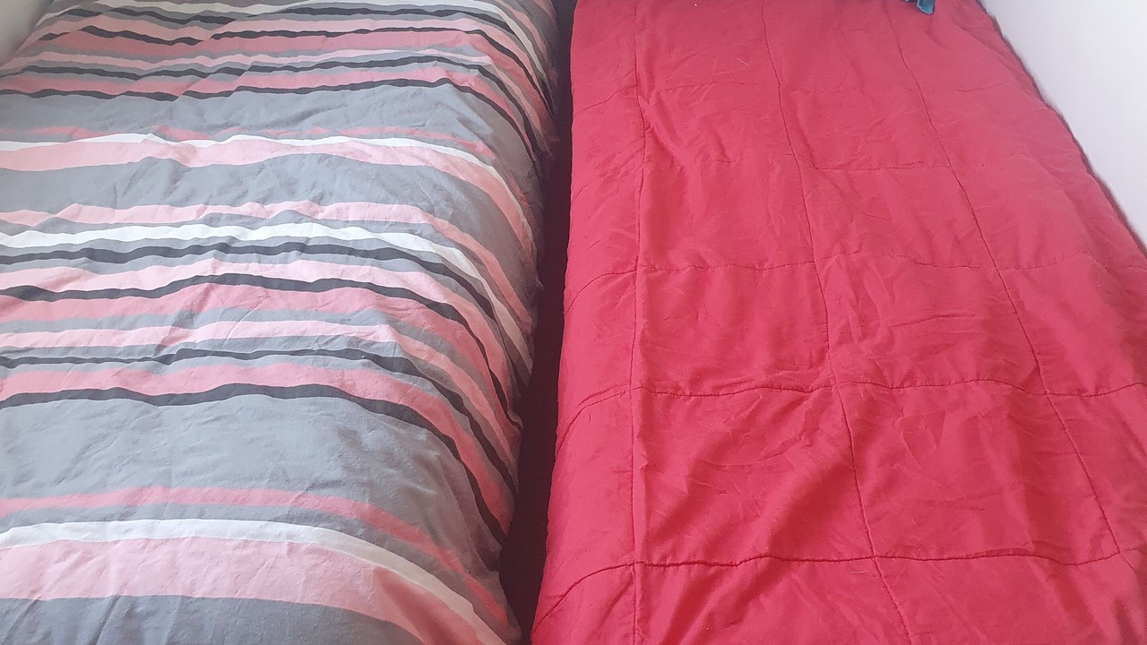 Photo of Bedroom in Ronce-les-Bains