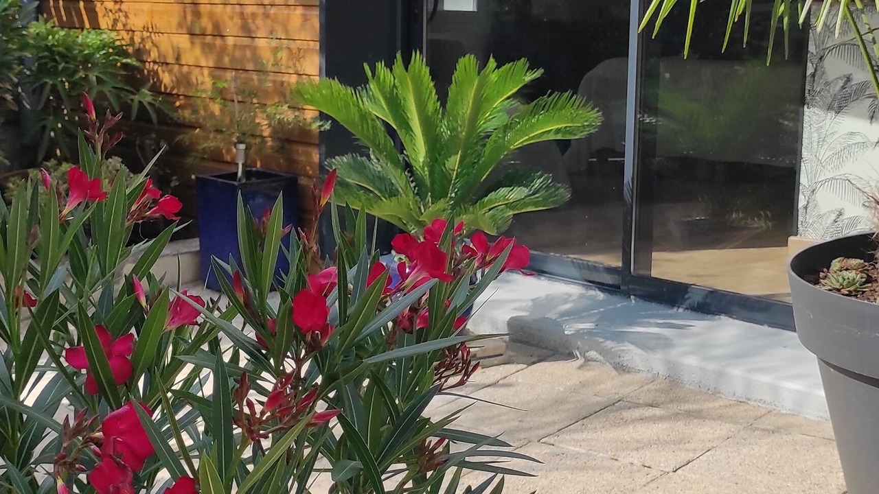 Photo of Outdoor in Ailly-sur-Noye