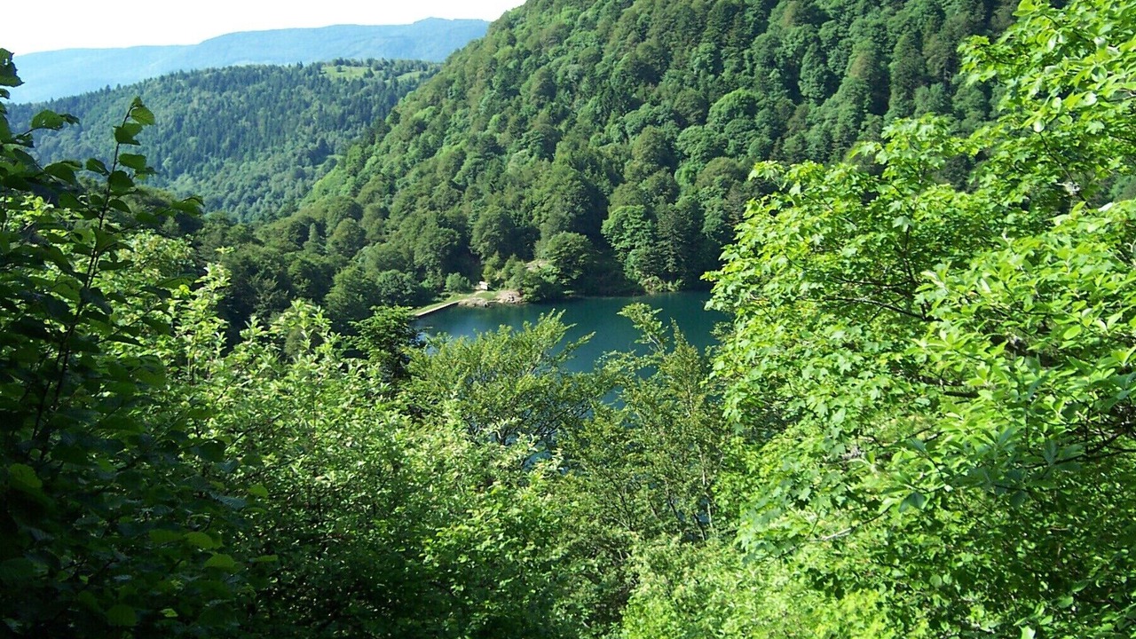 Photo of Others in Dolleren