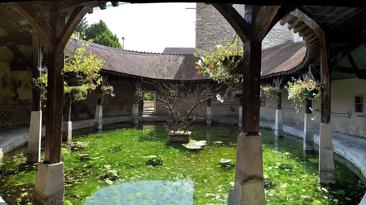 Photo of Others in Brienon-sur-Armancon